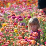 jandkintheflowers