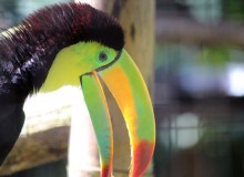How to Have a Wild Time in Belize with Kids